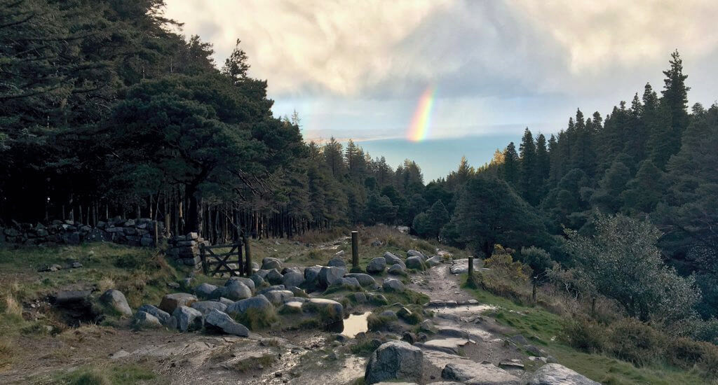 Rainbow over Donard Forest.