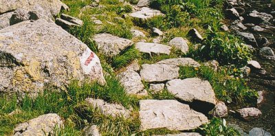 Path and waymarking. Path and waymarking.