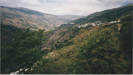 The white washed village of Capileira nestled on the slopes of Les Alpujarras. © D. Stillingfleet The white washed village of Capileira nestled on the slopes of Les Alpujarras.